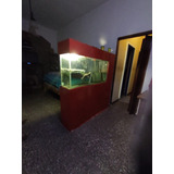 Acuario De 240 Litros Con Mueble Y Filtro Externo