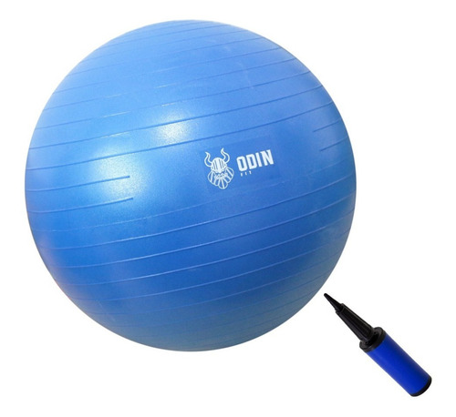 Bola Pilates Suiça Yoga Abdominal Gym Ball 65cm Bomba Grátis Cor Azul