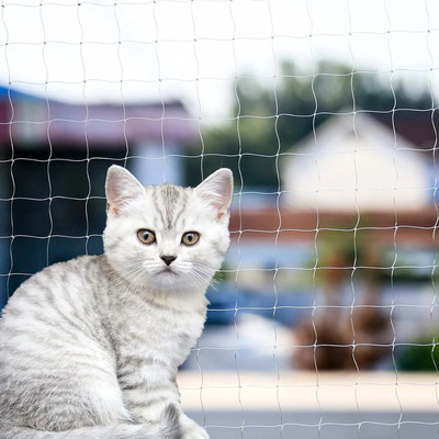 Red De Balcón Para Gatos, Anticaída, Sin Perros, Transparent