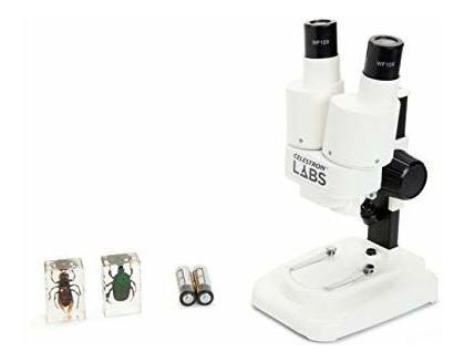 Microscopio Estéreo - Celestron S20 Microscopio Estéreo Port