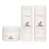 Kit Revitalización Postquimica Natura Plant 3 Productos