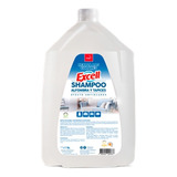 Shampoo Alfombra Y Tapices 5l