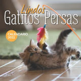 Lindos Gatitos Persas Calendario 2022: Calendario 12 Meses 2