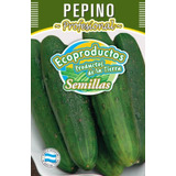 Semillas Huerta Ecoproductos Pepino