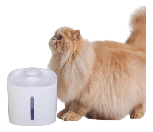 Bebedouro E Fonte De Água Automática Para Gatos - Kavju