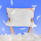 Travesseiro De Pluma Touch® - I Wanna Sleep - 50x70cm