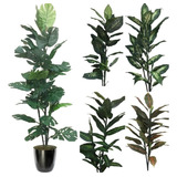Planta Artificial 1.60 Incluye Maceta