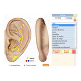 Programa Para Acupuntura Auricular