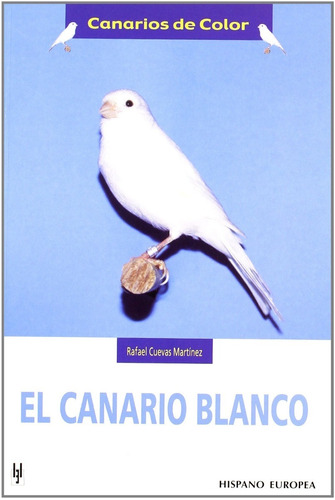 Canarios De Color. El Canario Blanco