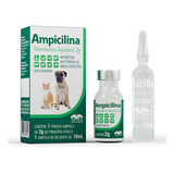 Ampicilina Veterinária Injetável 2g - Vetnil