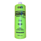 Shampoo Para Salão Profissional Pimenta E Menta 1 Litro  Eaê