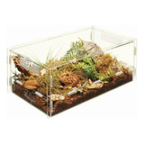 Zilla Micro Habitats Terrestre Grande