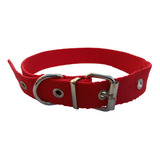 Collar Perro Soldado Cinta Polipropileno 3 Cm X 60cm