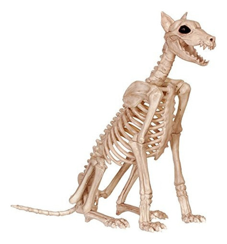 Skeleton Doberman