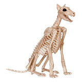 Skeleton Doberman
