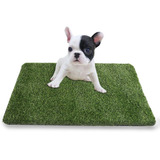 Alfombra De Césped Artificial Para Baño Adiestramiento Perro