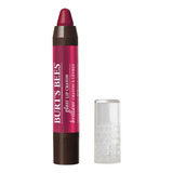 Burt's Bees Labial Gloss Lip Crayon Pacific Coast 2.83 Gr