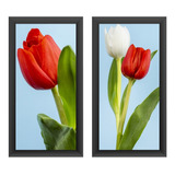 Quadros Decorativos Flores Tulipa Banheiro Corredor 2 Peças