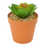 Mini Planta Artificial En Macetero Plástico 12cm Diseños