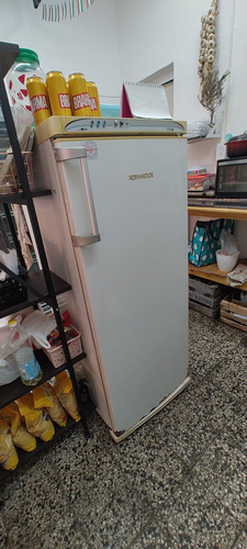 Freezer Vertical Kohinoor 