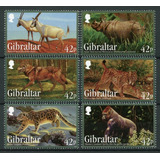 2012 Fauna En Peligro Extinción- Felinos- Gibraltar Mnh