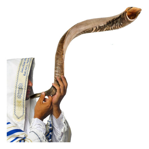 Kosher Jewish Kudu Instrumento De Cuerno Soplado Shofar De .