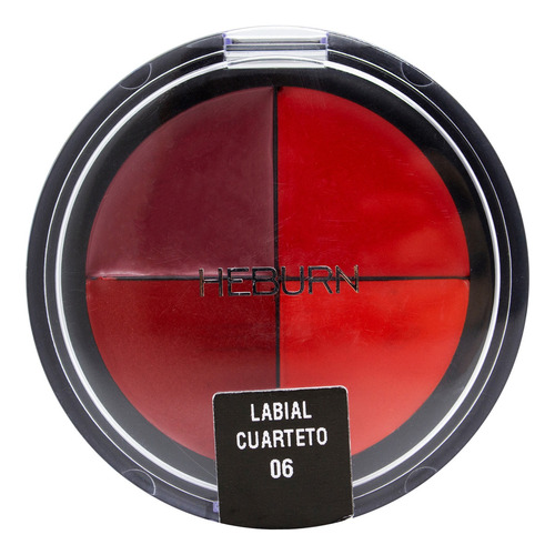 Heburn Labial Cuarteto Maquillaje Profesional Labios Cod 304 Acabado Cremoso Color 06