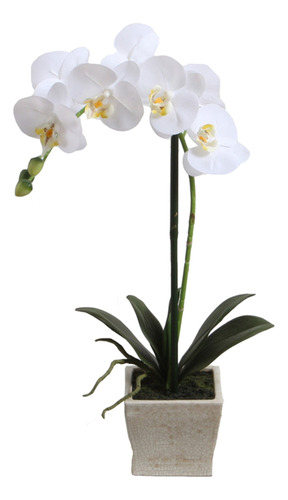 Orquídea Blanca 51 Cm En Macetero, Vadell Home