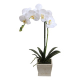 Orquídea Blanca 51 Cm En Macetero, Vadell Home