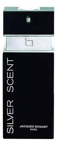 Perfume Silver Scent 100ml