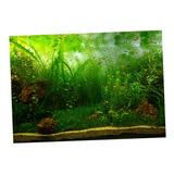 Atractivo Imagen 3d Acuario Waterweeds Fondo Cartel 61x30cm