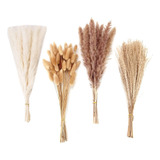 100 Units Of Dried Pampas Grass Decoration Bouquet