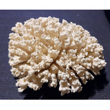  Corales De Mar Adorno Para Acuarios 18 Cm
