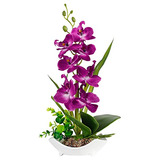 Orquídea Phalaenopsis Morada Maceta, Decoración De Or...