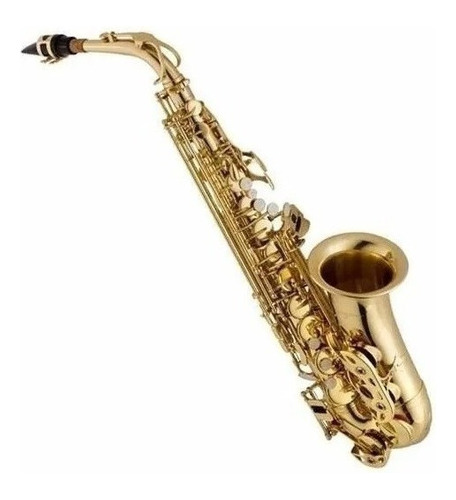 Sax Alto Vogga Vsas701n  Com Case Luxo + Garantia