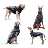 A Chaleco Chamarra Impermeable Para Perros Medianos Y 1