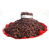 500 Gramos De Chapulines Oaxaqueños