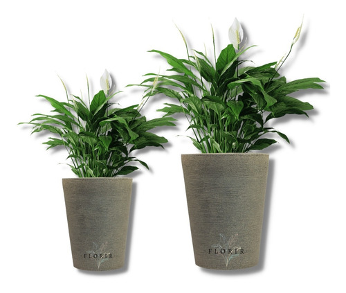 2 Vasos Para Plantas Decorativo Grafiato Redondo Promoção