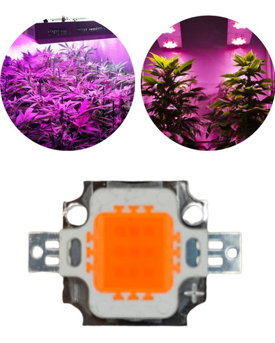 Chip Led Full Spectrum Cultivo Plantas Invernadero 10w 12v 