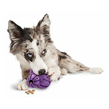 Petsafe Busy Buddy Barnacle - Juguete Masticable Para Perros