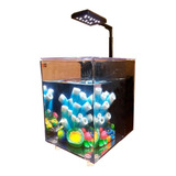 Acuario Completo Dophin Nano 7.6l Luz Led Filtro Betta Gamba