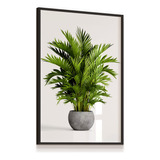 Quadro Decor 53x73 Vidro Vaso Palmeira Natureza Sala Quarto