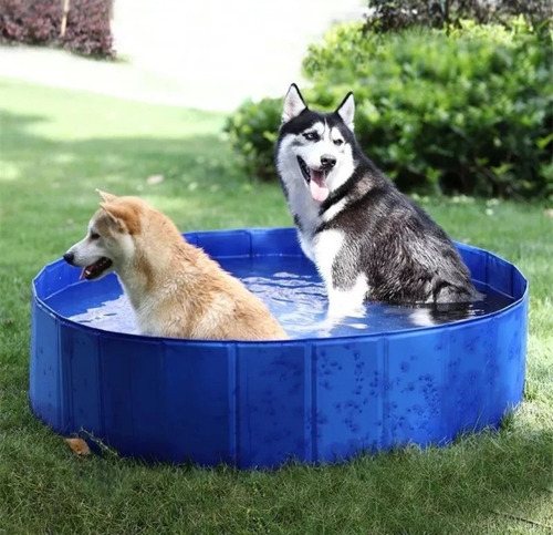 Piscina Para Mascota Perros Verano Plegable 120x30