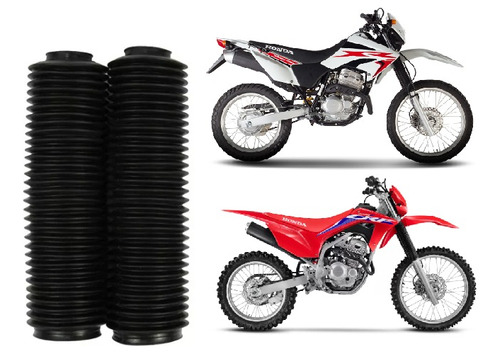 Sanfona Da Bengala 31 Dentes Honda Crf 250f - Xr 250 Tornado