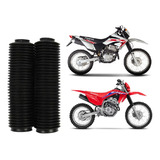 Sanfona Da Bengala 31 Dentes Honda Crf 250f - Xr 250 Tornado