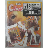 220 Figurinhas Adesivas Cães E Gatos E Álbum Cães E Gatos