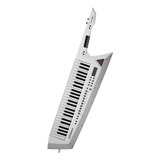 Sinte Roland Ax Edge Teclado Colgar 49 Teclas Keyguitar