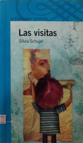 Las Visitas Silvia Schujer Alfaguara Usado *