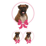 Sticker Boxer Niña 3 Pza Impresion Alta Calidad Mascota