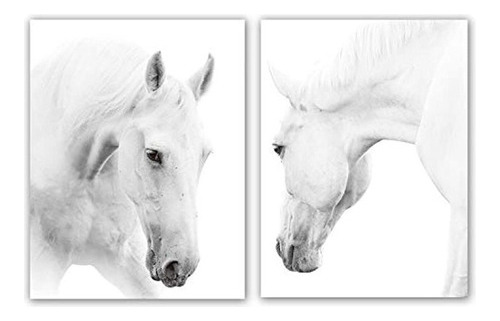 Juego De 2 Ilustraciones De Caballos Blancos 12.0 X 16.0 in